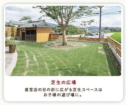 芝生の広場