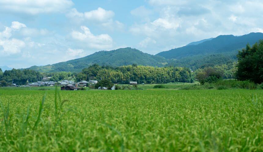 工房がある奈良ののどかな風景の写真
