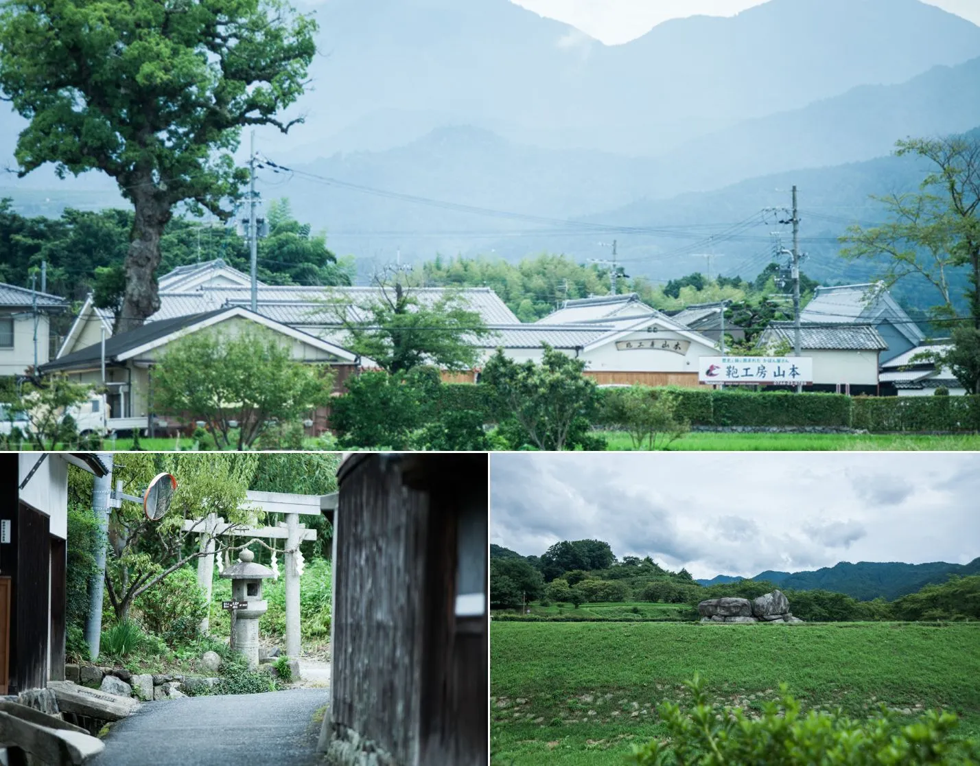 豊かな歴史と緑にかこまれた奈良の地。
