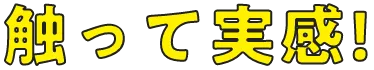 触って実感！