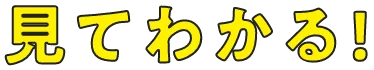 見て分かる！