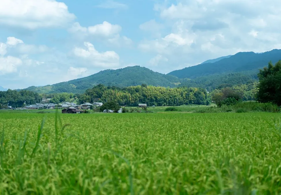 大和三山を望む豊かな自然に囲まれた奈良県橿原市にあります。