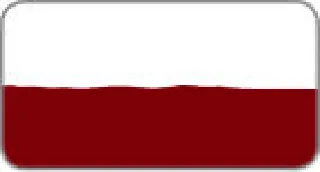 バフィング・磨き