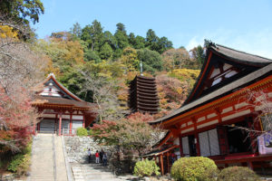 鞄工房山本版 奈良ガイド 『霜月』 ～大化の改新 始まりの地 「談山神社」の紅葉～