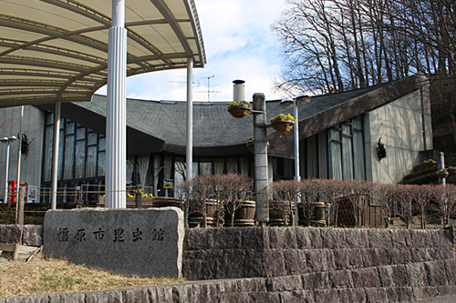 2018年4月ご入学 ランドセル展示会（橿原市昆虫館）を開催します！