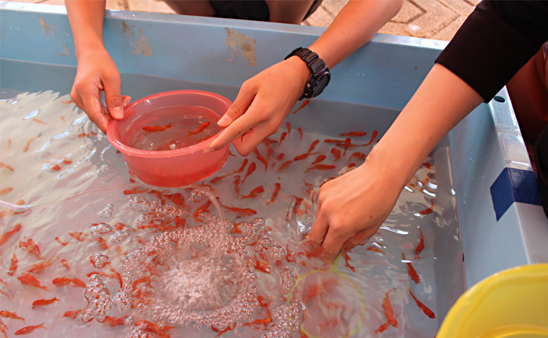 【鞄工房山本 奈良本店】金魚が泳ぐ城下町、大和郡山市。 ～「第23回 全国金魚すくい選手権大会」へ行ってきました！（前編）～