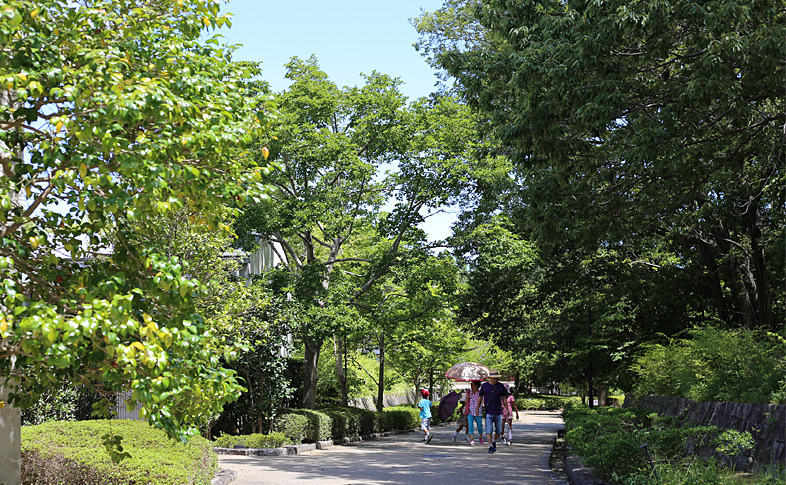 緑豊かな公園