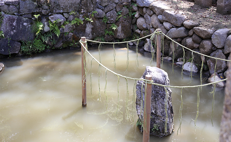 池の石