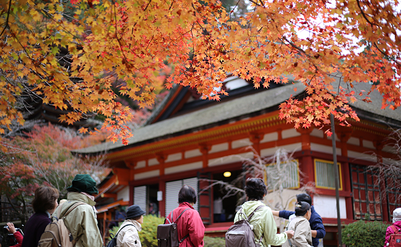 境内の紅葉