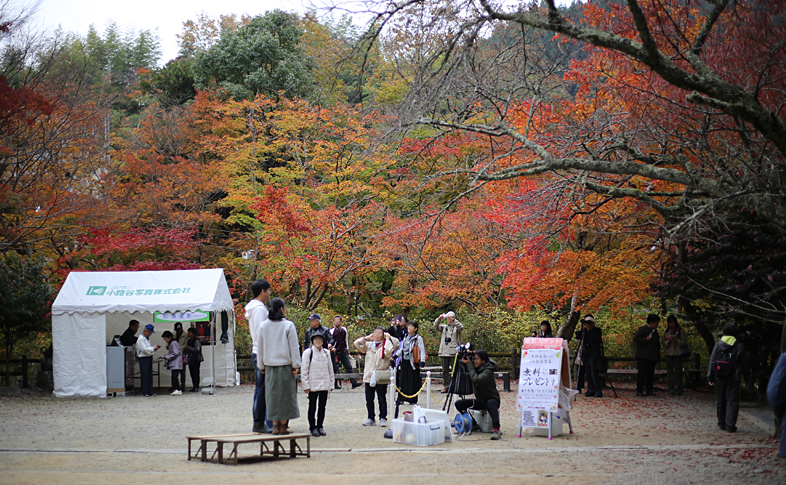 写真撮影イベント