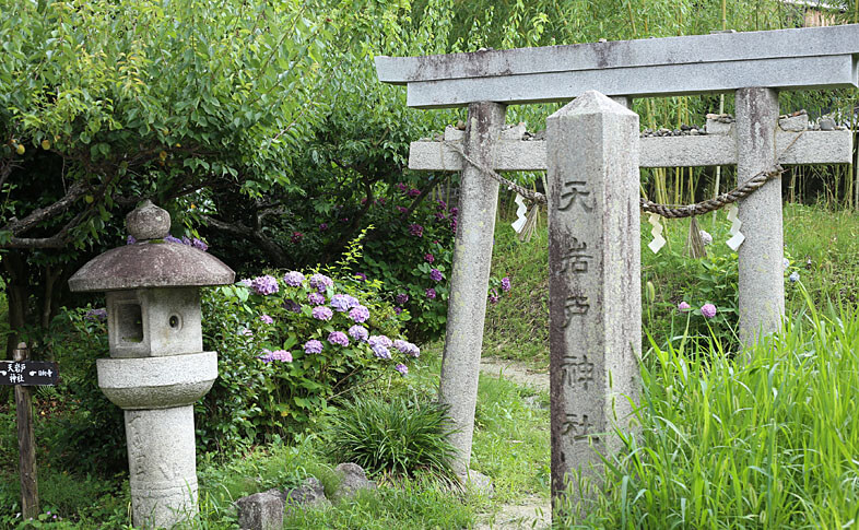 天岩戸神社