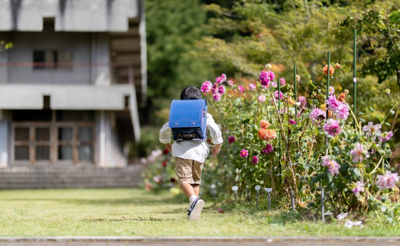 ブルーのランドセルを背負った男の子が、小学校に向けて校庭を歩んでいる