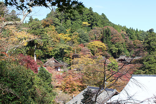 tanzanjinja02