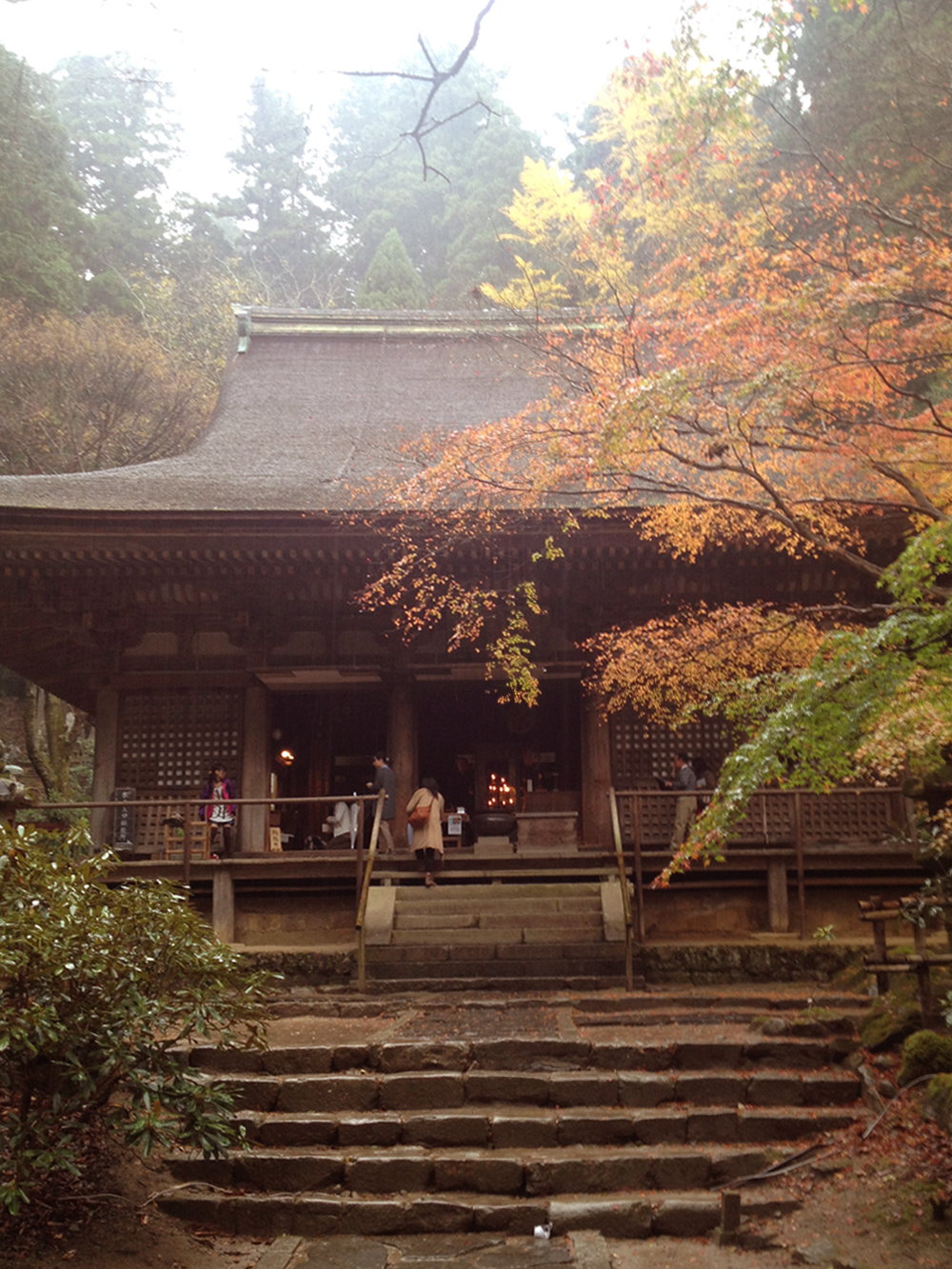 室生寺の紅葉