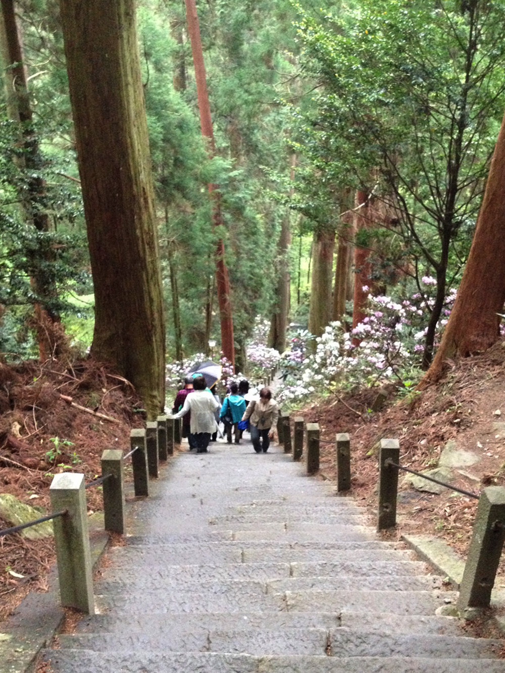 室生寺の紅葉