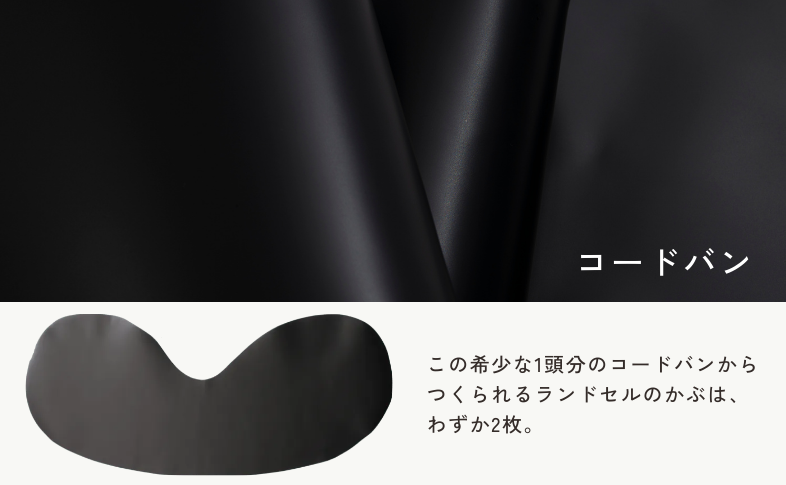 コードバンについて