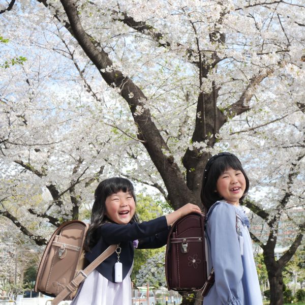 東京都板橋区／O・Kさん、O ・Aさん